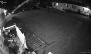 Girl Trips Up Stairs and Falls