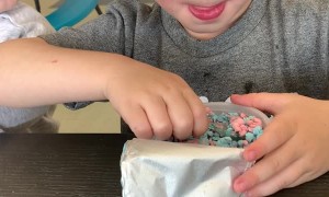 Toddler Makes Two-Bite Rule When Sharing Ice Cream With Brother