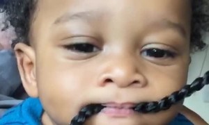 Baby Chews on Braided Hair