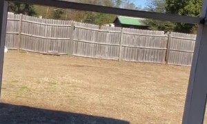 Nervously Rescuing a Trapped Bird