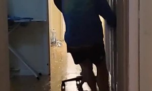 Fooling Around with the Office Chair