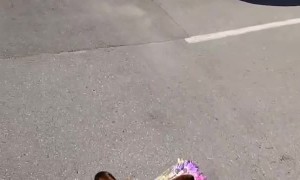 Precious Pupper Brings Mom Flowers