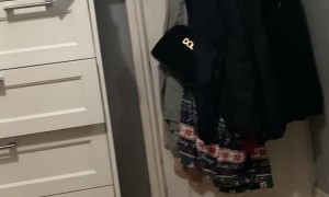 Kitten Jumps and Misses Landing