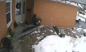 Amazon Driver Flees After Van Rolls into Garage Door