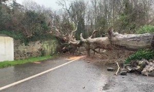 Storm Franklin in Ireland causes massive tree to block entire road