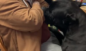 When You're Not Allowed to Bite