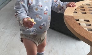 Talkative Toddler Has a Lot to Say