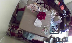 Toddler Breaks Glass Table