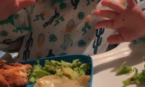 Change of Mind About Broccoli