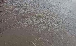 Children Visit A Large Ship on the Amazon River