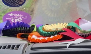 Drunk Swerving Bicyclist Wrecks on Road Side