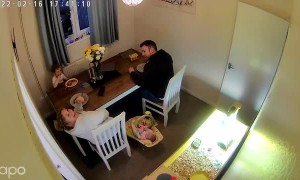 Fart at Dinner Table Sounds like Dirt Bike