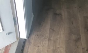 Frenchie Does Not Like the Cold