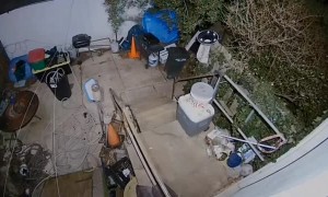 Guy Get's Smacked by Stair