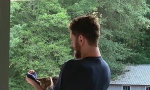 Guy Uses His Shirt to Help a Stuck Kitten