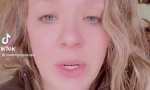 Unwelcome Wakeup Call from Naughty Goats