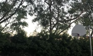 Kid Kicks a Soccer Ball into a Basketball Hoop
