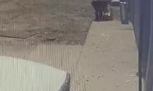 Unexpected Wind Causes a Package Peanut Blizzard