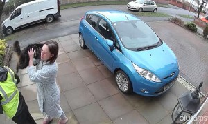 Cat Jumps on Delivery Driver