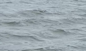 Boat Has Trouble Docking on Windy Day