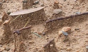 Rain Creates Tiny Canyon-Like Formations in Backyard