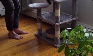 Beano Bolts Every Time he Hears the Automatic Feeder