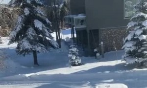 Friends Crack Up Over Friend Falling Using Crutches in Snow