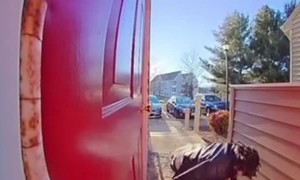 Guy Stumbles and Knocks His Head Hard