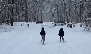 Kiddos Run to Get a Better Look at Albino Deer