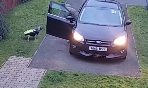 Frenchie Makes it Difficult for Dad to Get Him in the Car