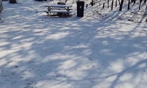 Runaway Trash Can on Icy Ground