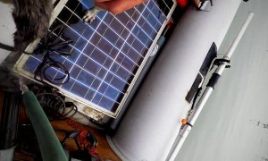 Dog Saved from Sinking Boat