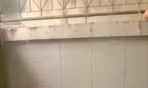 Cat Rescued After Being Stuck in Wall for Days