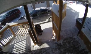 Like Father, Like Son