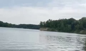 Dog Falls off Boat