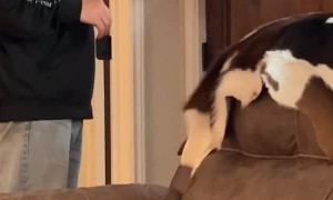 Being a Good "Neigh-Bor"