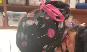 Dog Who Swallowed a Tennis Ball Saved by Endoscopy