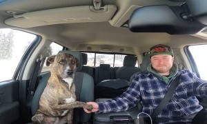 "Could you hold my paw?"