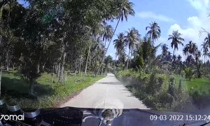 Snake Removed Via Windshield Wiper