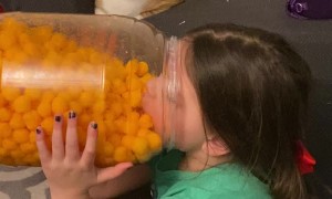 This Cat's Judgment is Palpable