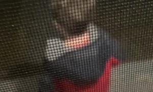 Son Has Second Thoughts About Running Away