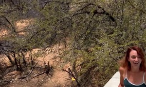 Wildlife Encounter on Private Game Reserve