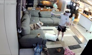 Brother Gets Bonked During VR