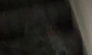 Cat Spotted on Ceiling Sunlight