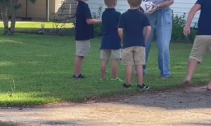 Very touching story of an old man with dementia