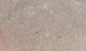 Dad Surprises Son After Being Apart for 3 Years