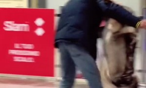 Dog ecstatic to welcome home owner from abroad