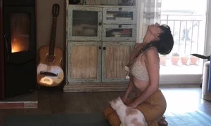 Cat and Dog Love to Interrupt Yoga Session