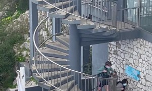 Monkeys Attack Tourists at Gibraltar