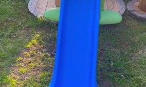 Goats Don't Know How to Slide, So They Jump Instead